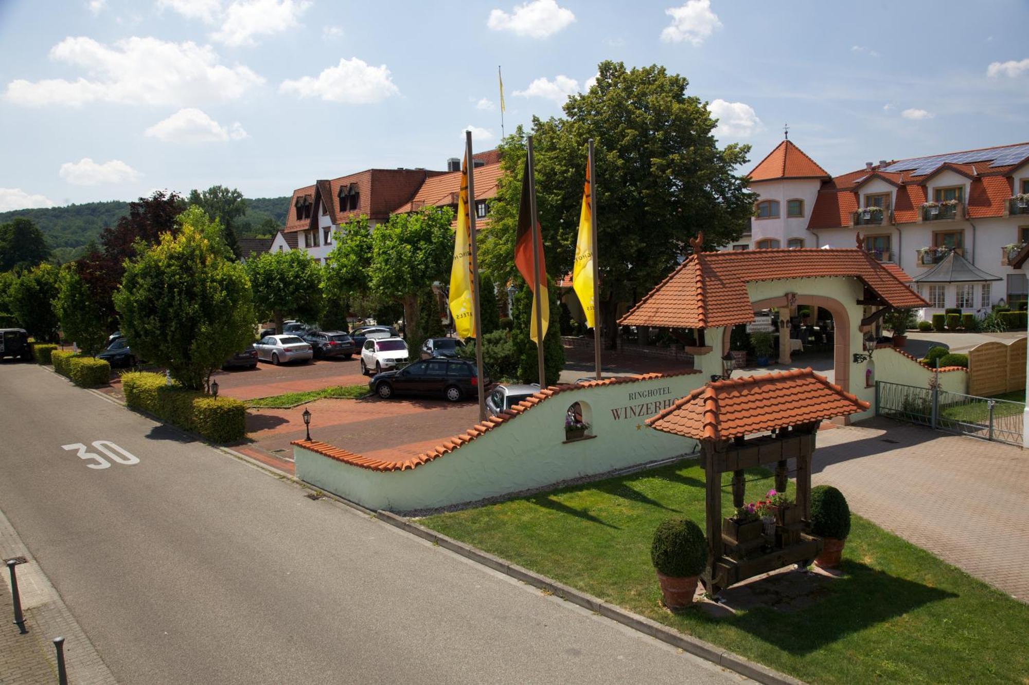 Ringhotel Winzerhof Rauenberg  Exteriér fotografie